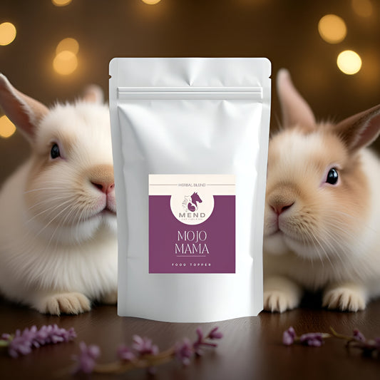 Mojo Mama Herbal Food Topper